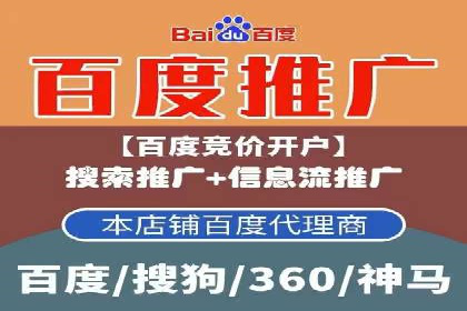 SEO策略在电商平台的成功应用案例